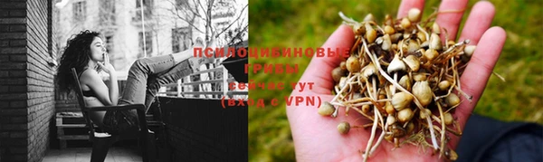 крисы Лиски