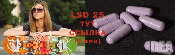 ГАЛЛЮЦИНОГЕННЫЕ ГРИБЫ Лихославль
