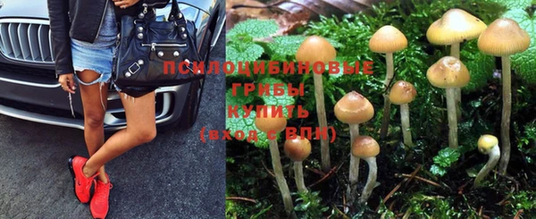 шишки Липки