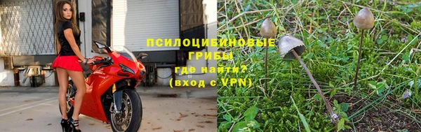 крисы Лиски