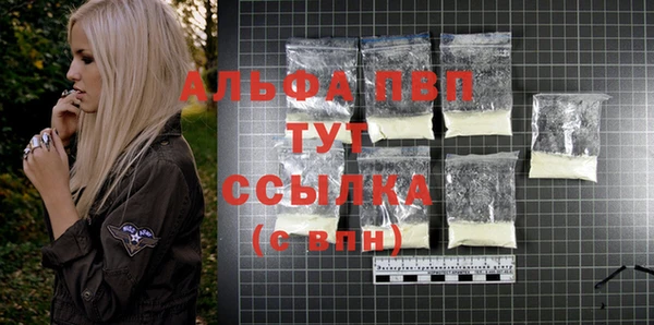 прущие грибы Майский