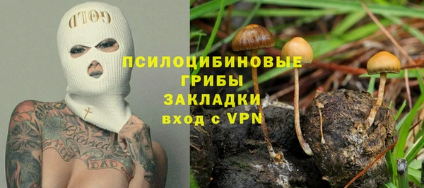 ГАЛЛЮЦИНОГЕННЫЕ ГРИБЫ Лихославль