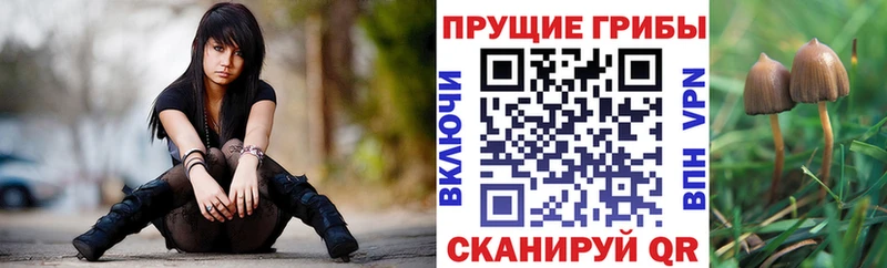 мориарти как зайти Можайск Псилоцибиновые грибы ЛСД где найти